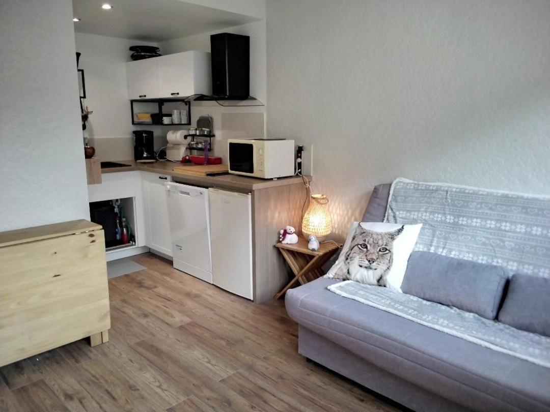 Saint Lary Ski, Rando, Thermes, Balades Et Repos ! Apartment Exterior photo